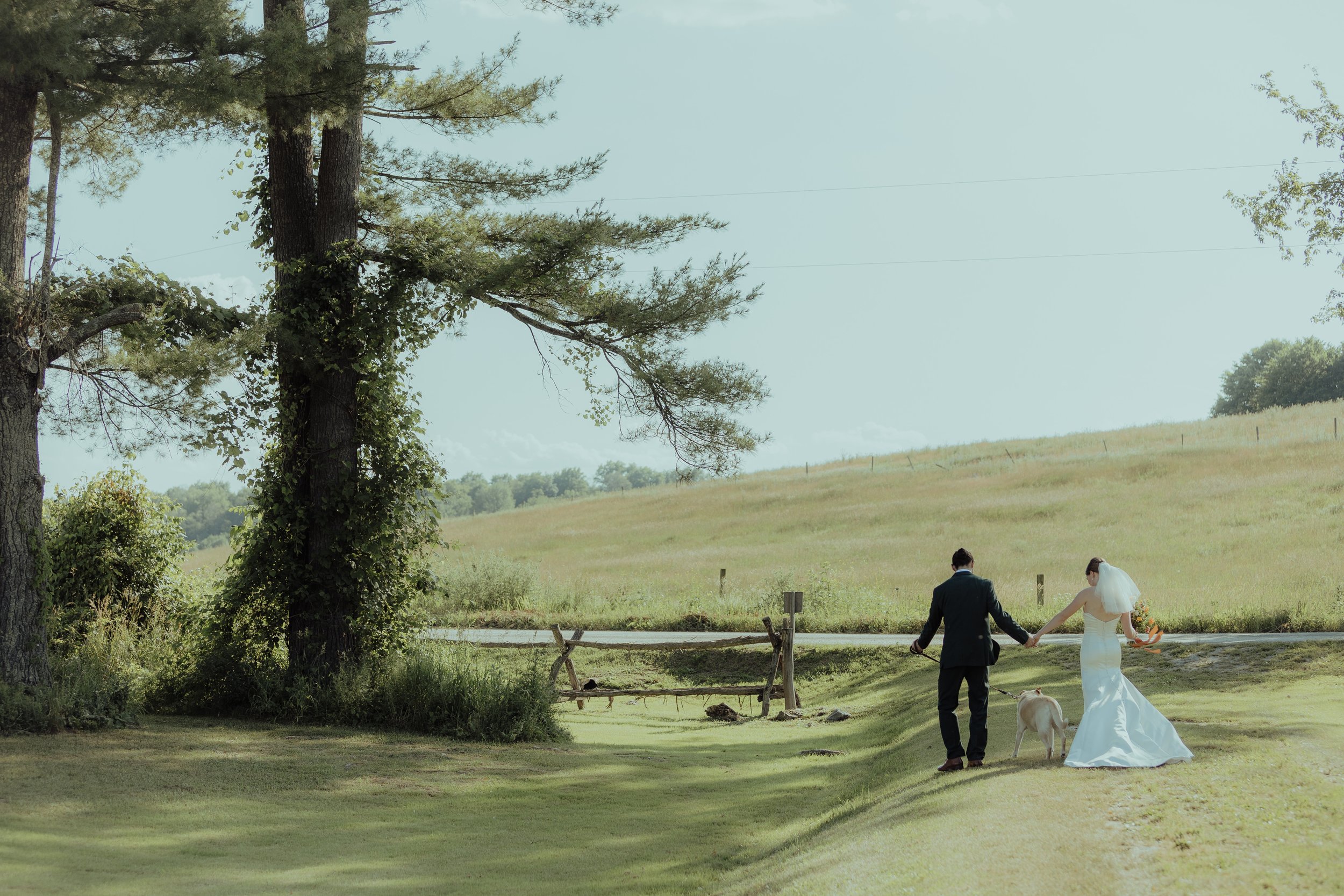 A bride and groom holding hands and walking a dog in a scenic outdoor setting with trees and open fields.