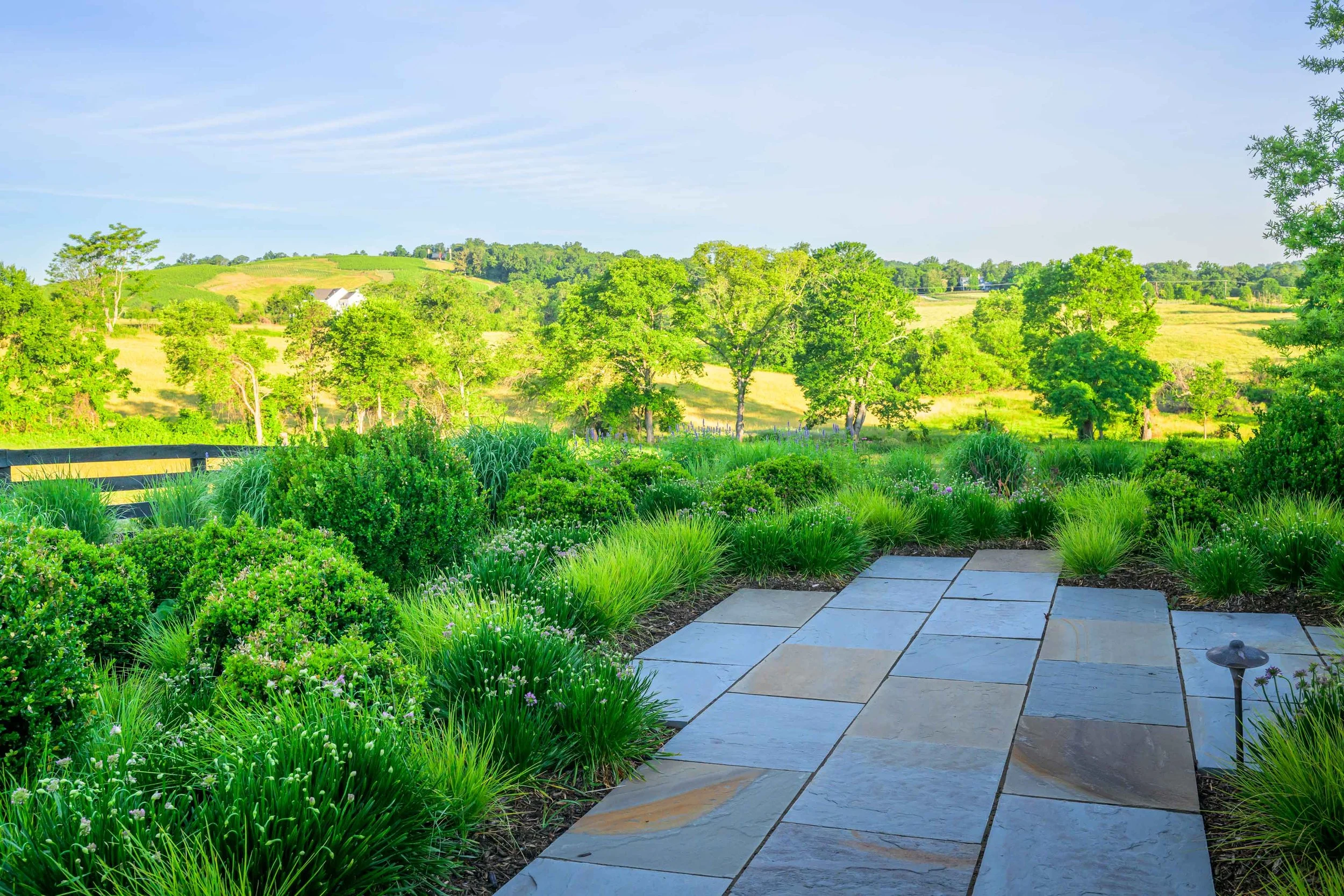 Transition to rear garden