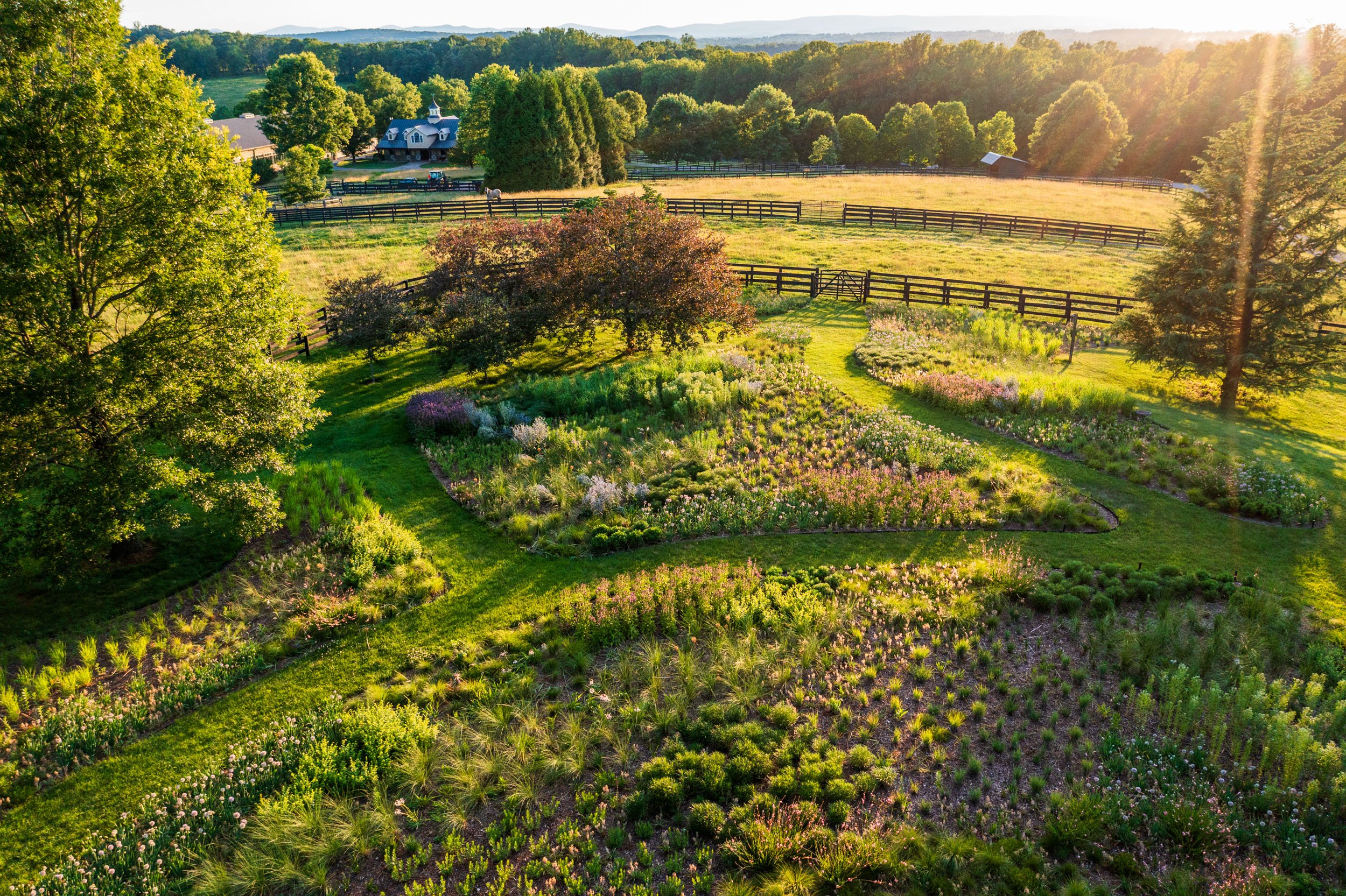 Aerial image, first year planting