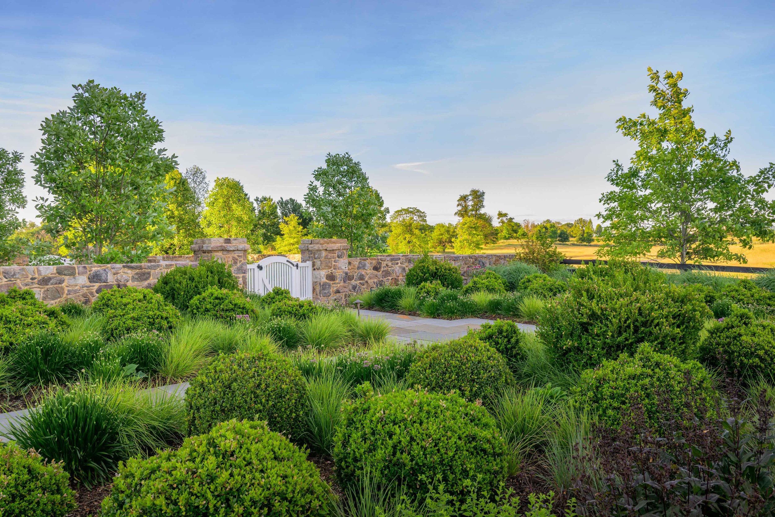Informal boxwood garden