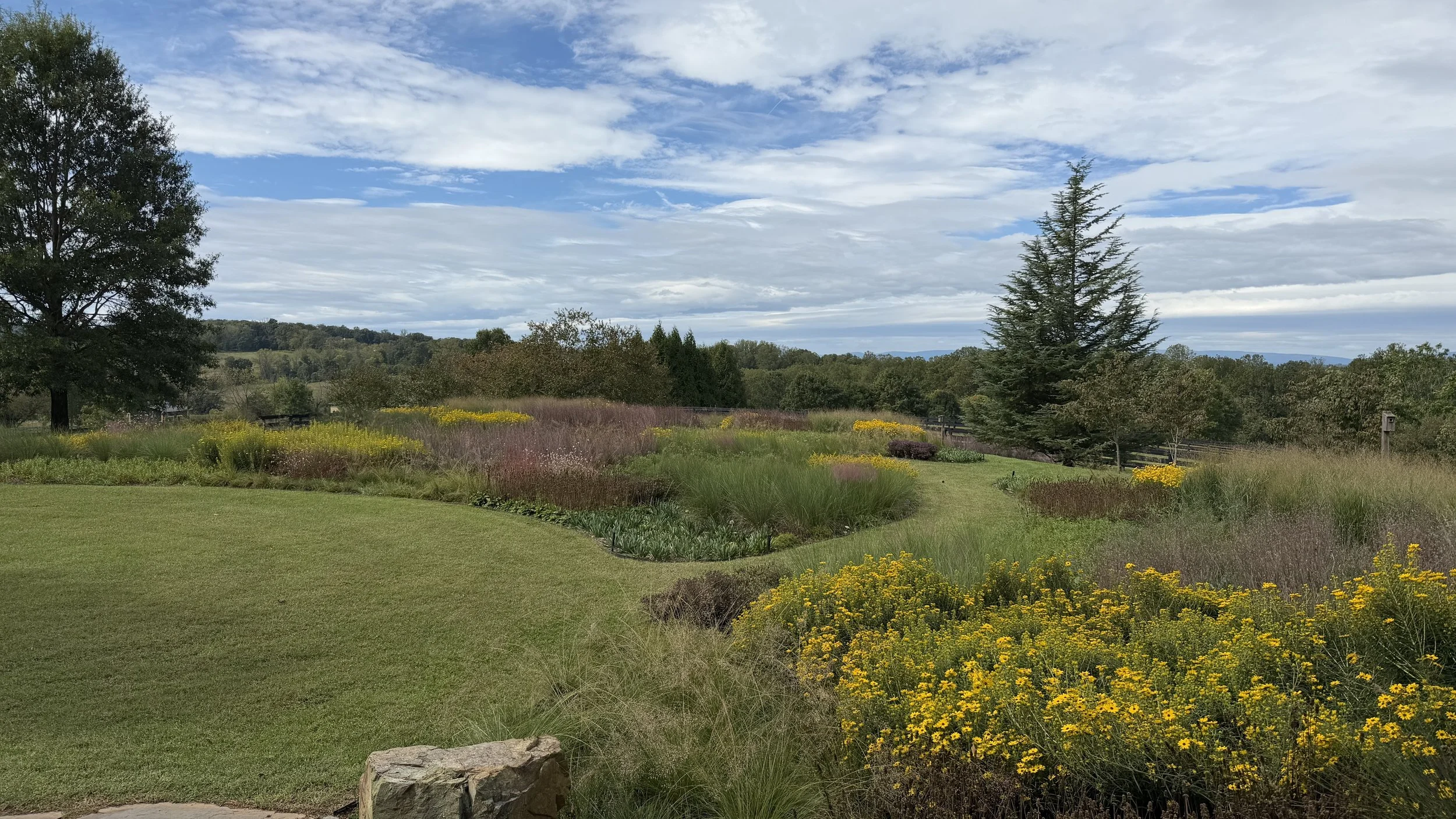 Garden in September