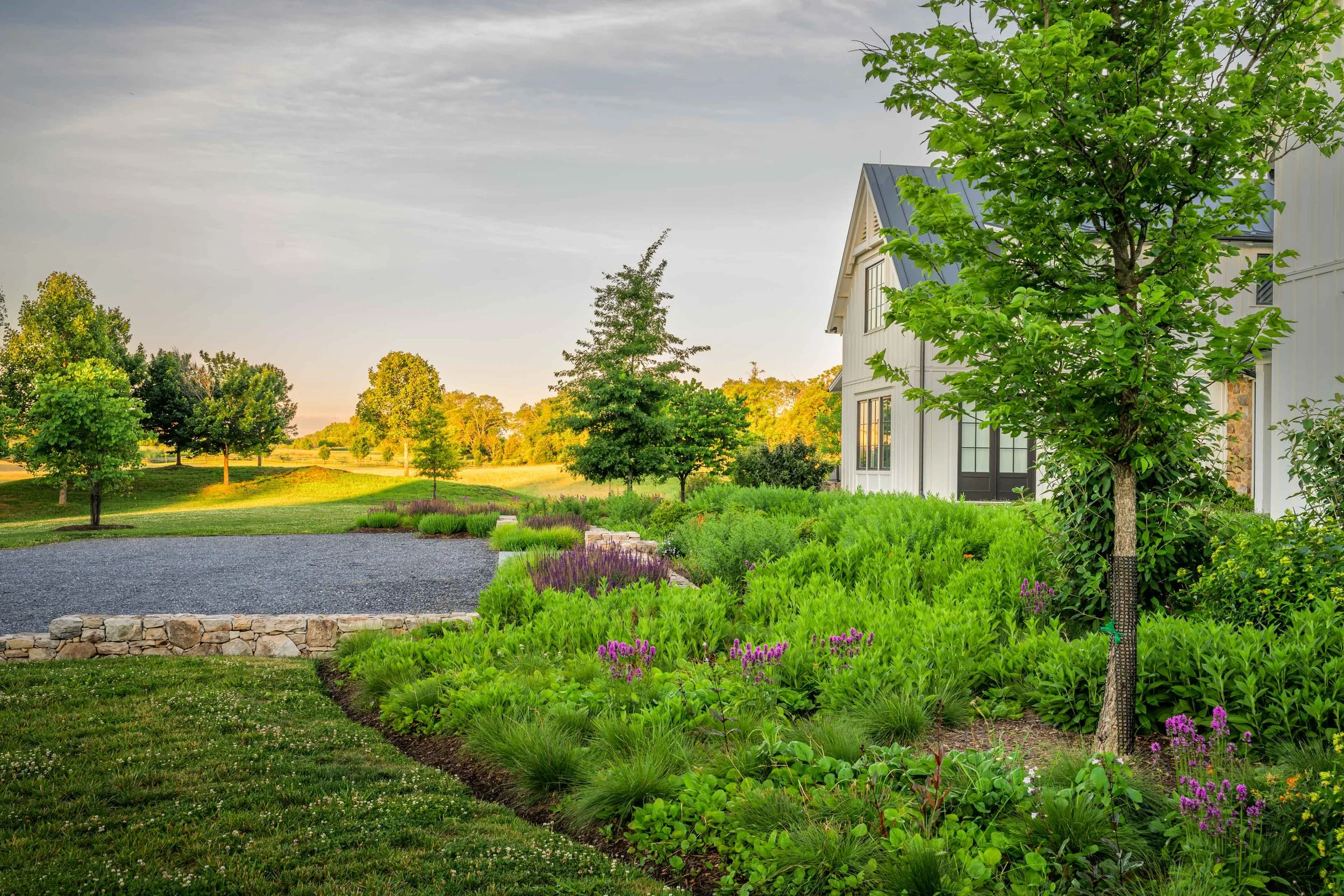 Front planting