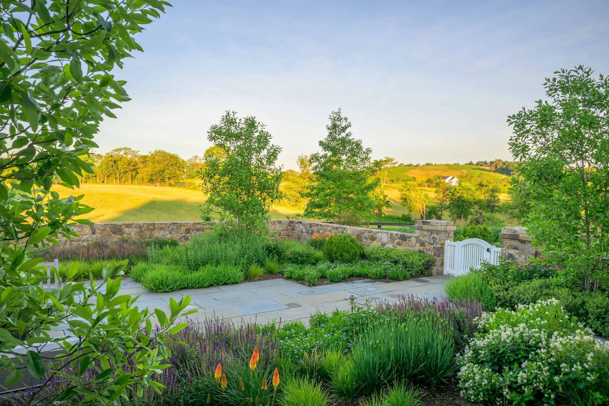 The library garden