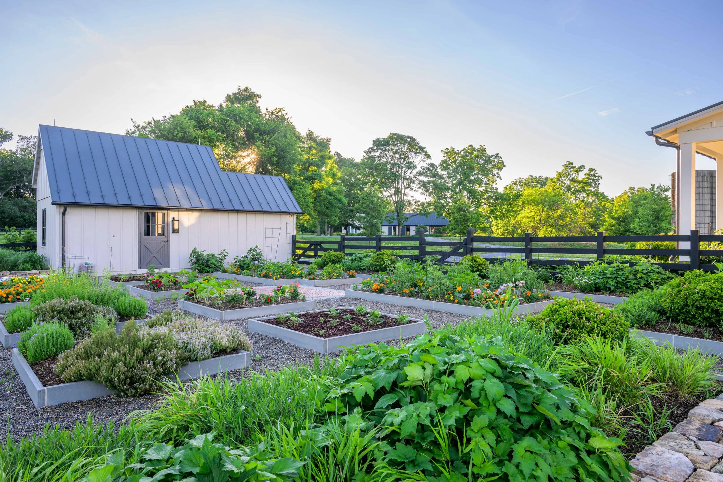 Cutting garden