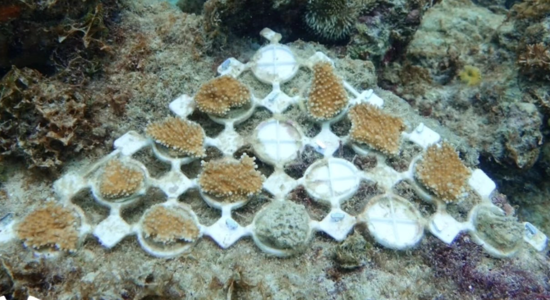 Sea Foundry