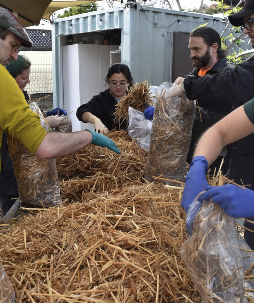 Bay Area Applied Mycology