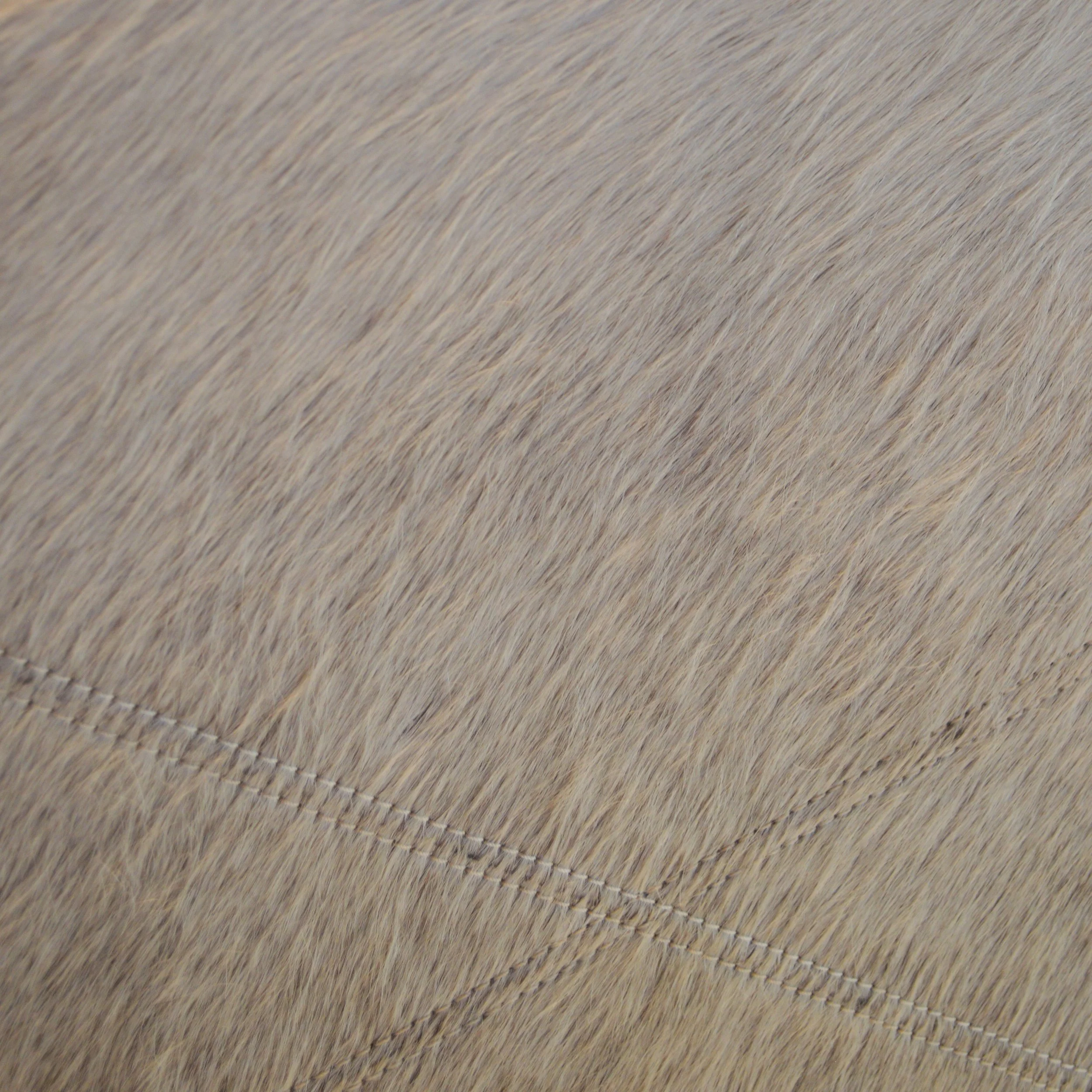 DSC_0647.jpg