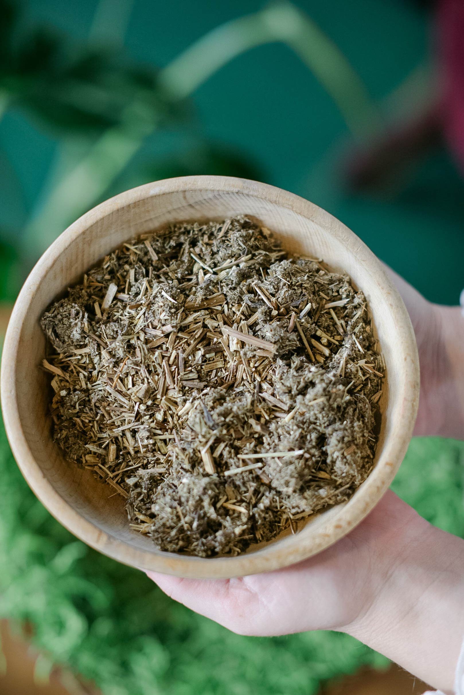 Mugwort-Sold-in-bulk-Plant-Magic-Market.jpg
