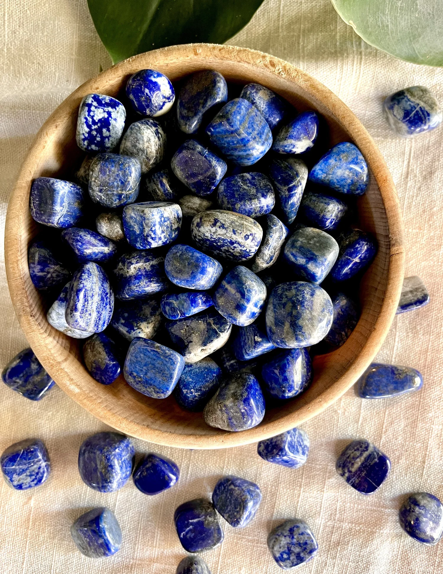 Lapis Lazuli — Plant Magic Market