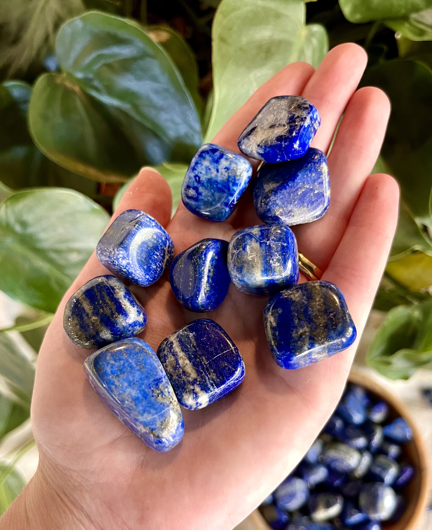 Lapis Lazuli — Plant Magic Market