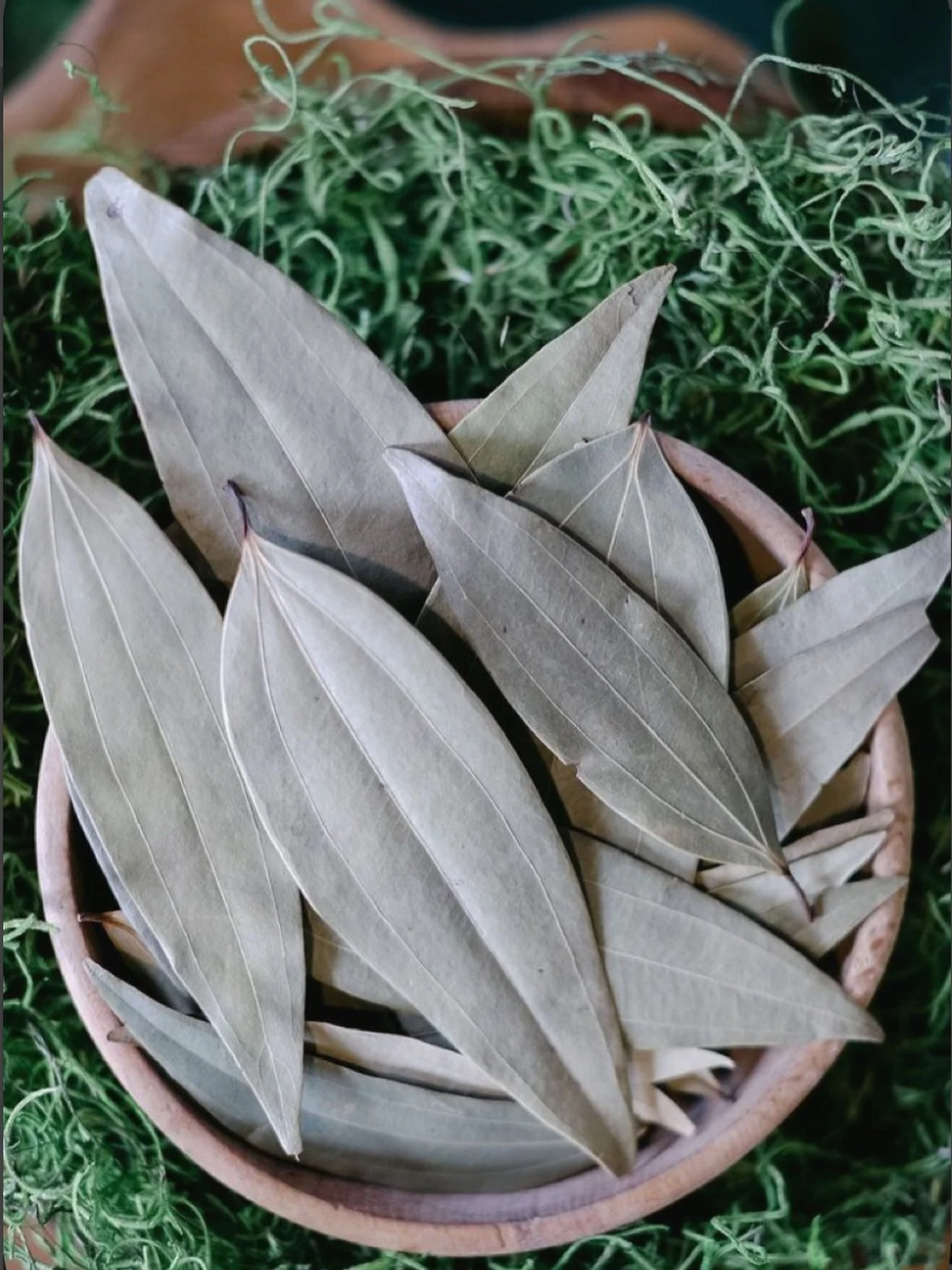 🌿 Bay Leaves are considered an herb of protection, manifestation, success and victory&hellip;. Write your wishes on it, cook with it, add to baths, burn as incense or sprinkle around a place of business to draw customers. Wonderful for attracting mo