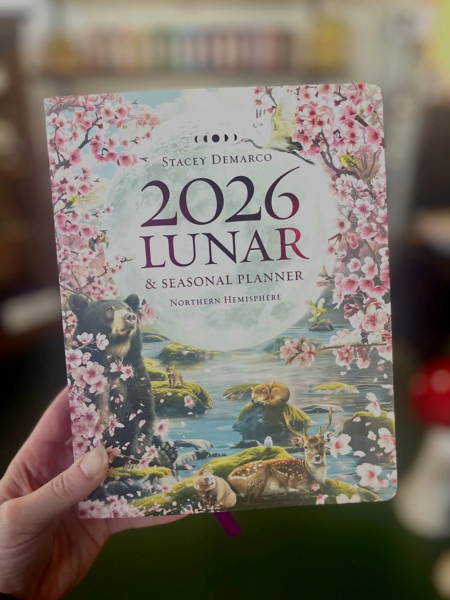 Back in stock!! Just in time for Christmas and the New Year 2026! ✨

These flew off the shelves the first time around&hellip; come snag yours before it&rsquo;s too late! Open Tuesday-Saturday 11am-6pm ✨

#newyear #2026 #gift #giftideas #christmasgift