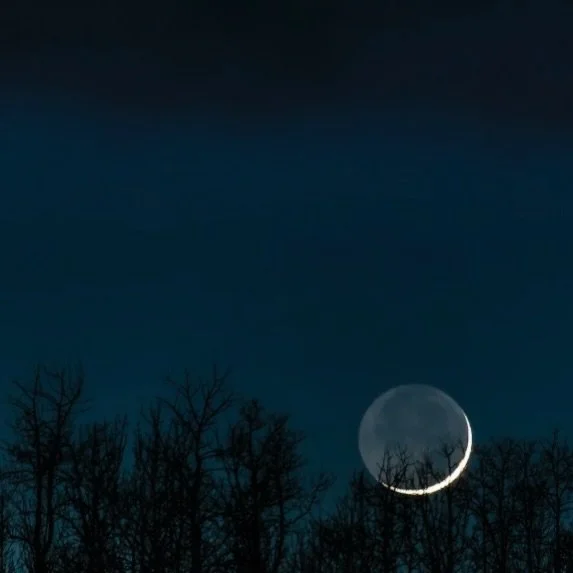 Harness the Magic of the New Moon to Reset Your Life ✨ Blog link in bio featuring a powerful New Moon ritual&hellip; Check it out! New Moon incoming Sunday Jan 18th! 

Shop for supplies at our brick and mortar location in Columbus, Georgia // Tuesday