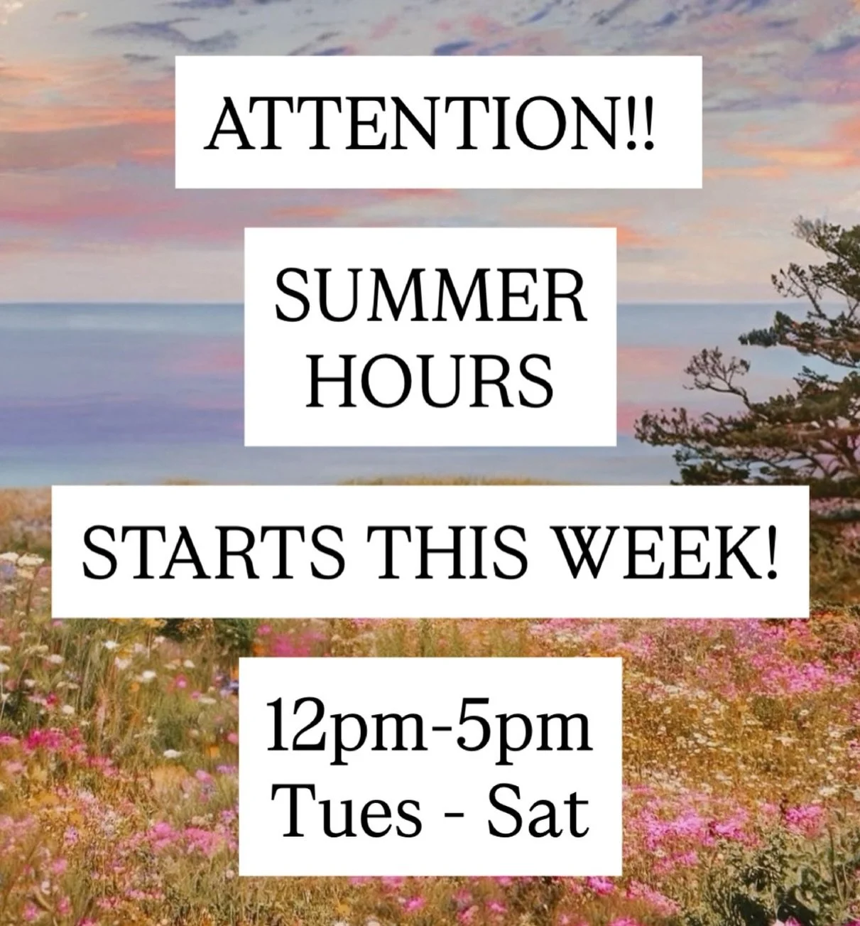 ✨ Shorter hours in June and July! We are open 12-5pm Tuesday-Saturday ✨

#summer #shopping #brickandmortar #columbusga