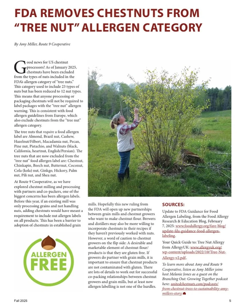 Good news for chestnut processors! Finally aligning with the European Union after many years.
#notanutallergy
#chestnutorchard 
#chestnuts
Chestnuts 🌰 In The Ozarks 
www.chestnutsintheozarks.com