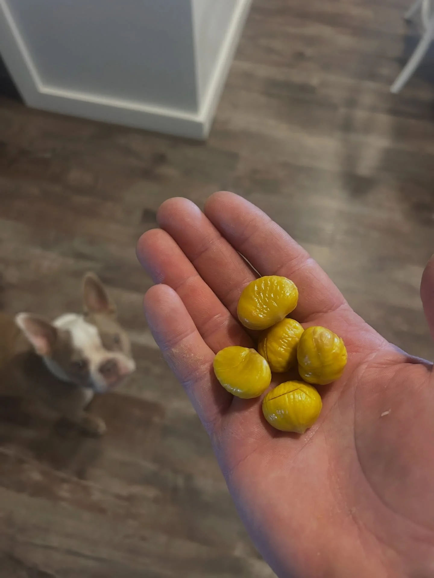 A quick after-lunch snack today 🌰
We&rsquo;ve been dialing in our chestnut roasting little by little, and this time we added one simple tweak, soaking them in water after scoring an X on the round side. That small change made peeling incredibly easy
