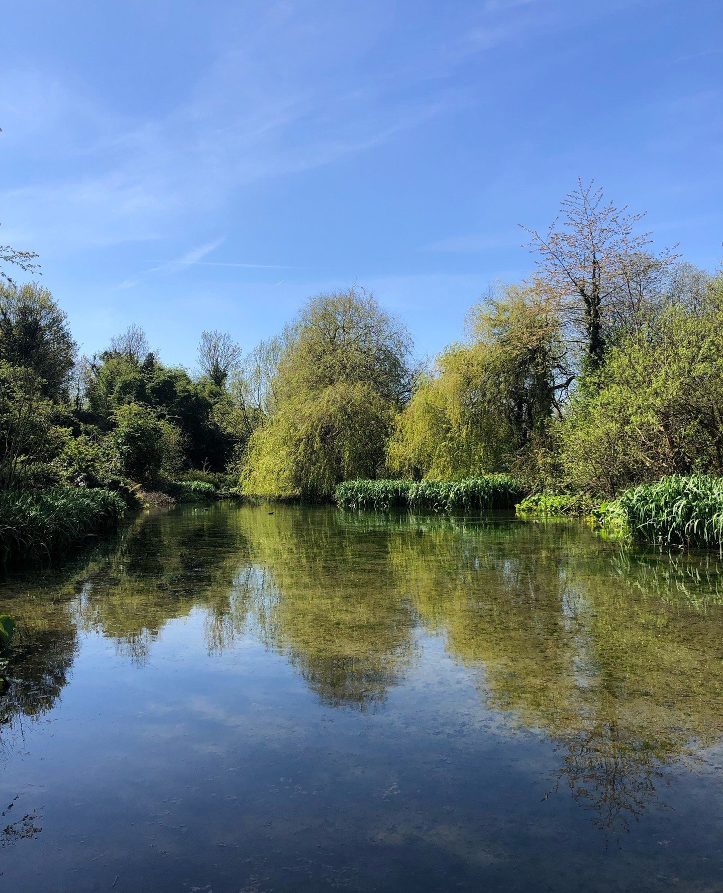 One of our favourite places in St Albans to make the most of a lovely blue sky is the Watercress Wildlife Association Nature Reserve! 🌻⁠
⁠
A peaceful green space  that contains a butterfly garden, small wooded glades and a lovely lake, complete with