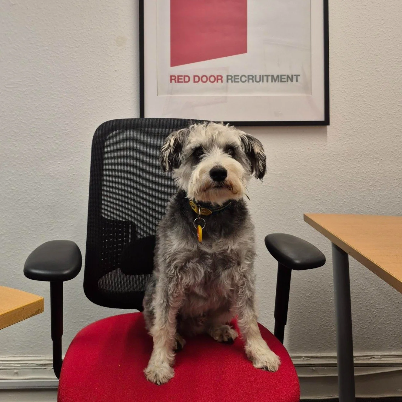 Have you ever had an interview with someone whose expression you just can&rsquo;t read?

We know it can be difficult to hold your nerve and continue giving strong answers when you&rsquo;re feeling uneasy. 

Here are our top tips for making it through