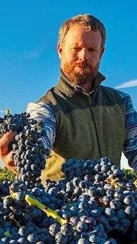 Meet Todd Chapman, Our New Vineyard Operations Manager