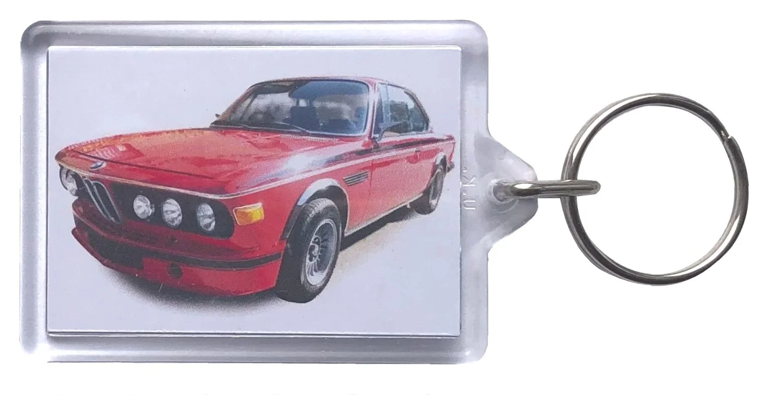 BMW+3.0CSL+1973+RHS+Cutout+March+2023.jpg