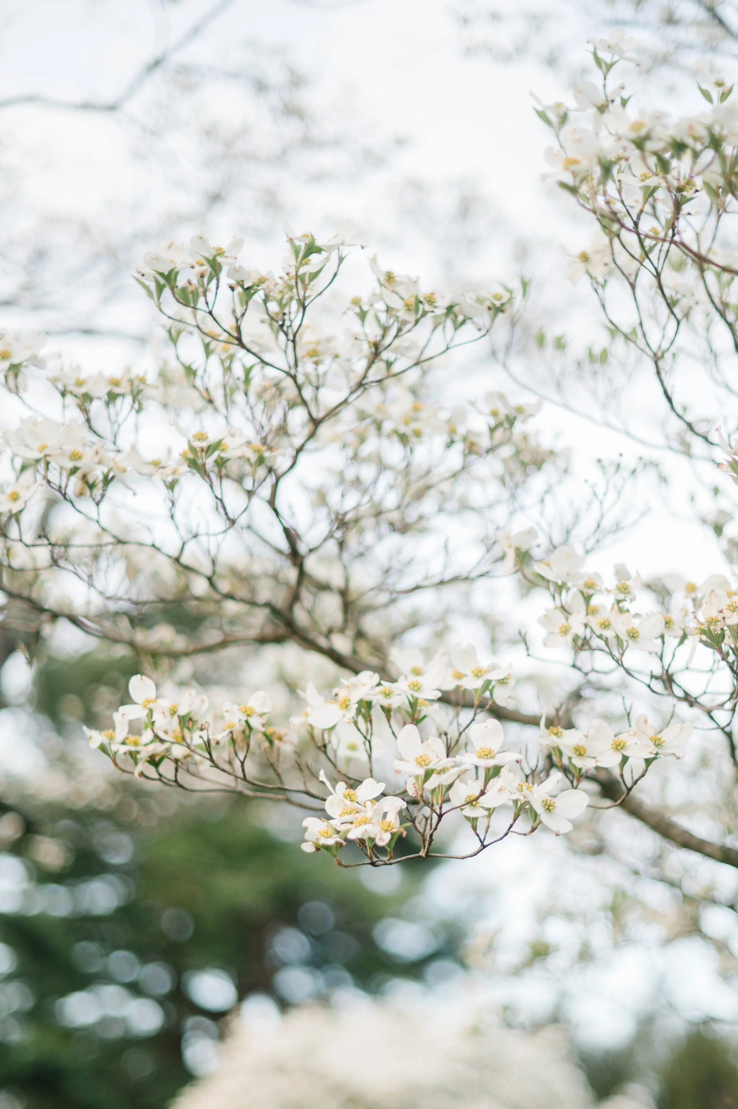 Luxury Loudoun County Wedding Venue - Heigh Torr Estate