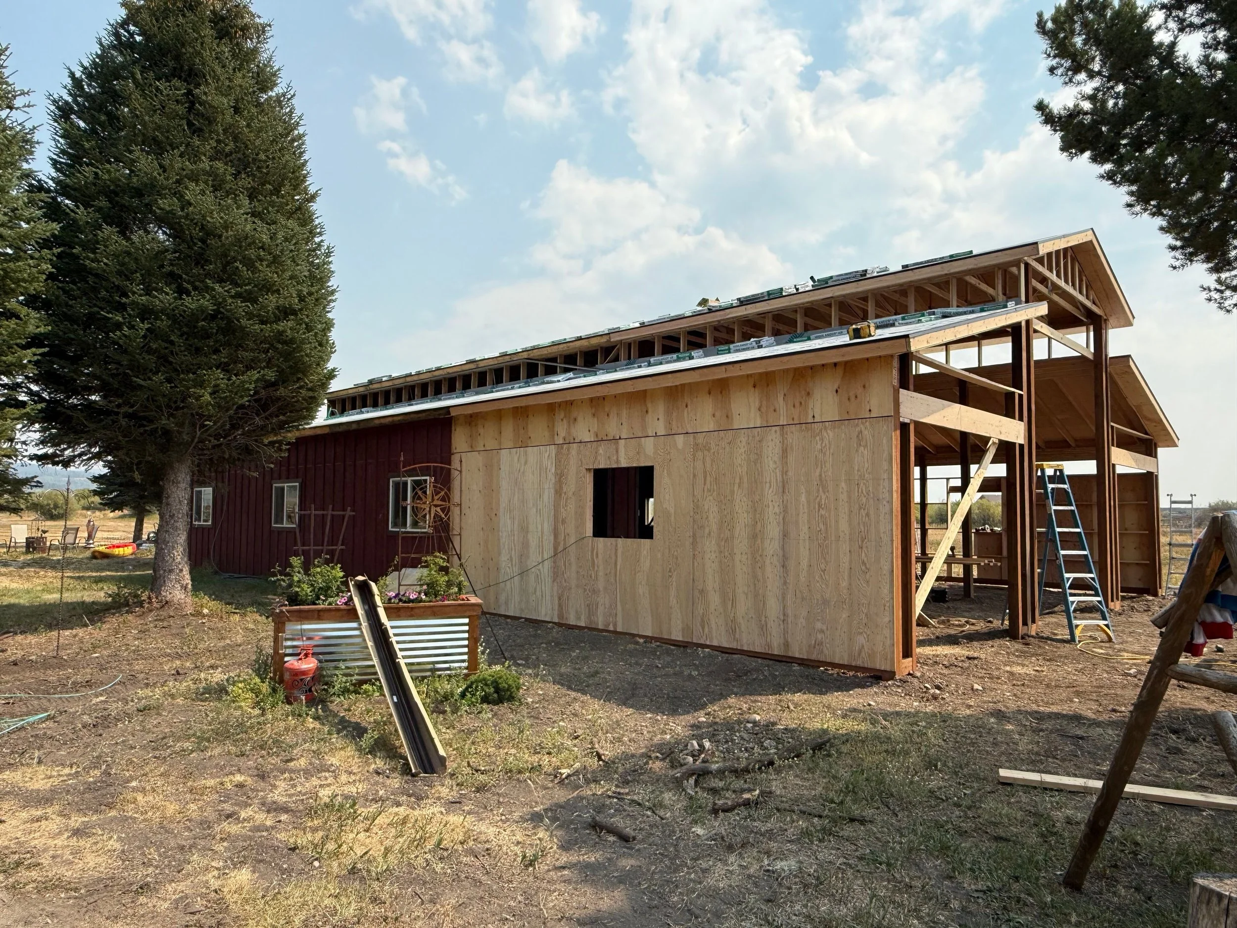 Under construction wooden barn or house with partly finished walls and roof in a rural setting with trees and open land.
