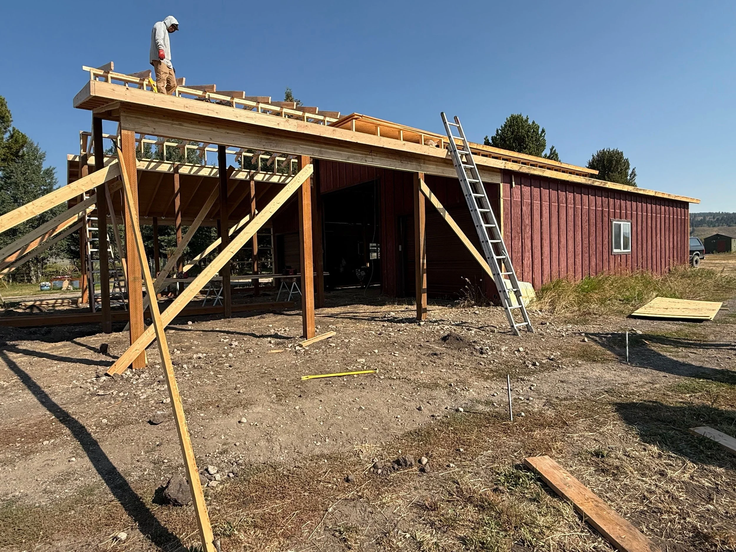 Construction of a red barn-style building with a wooden roof structure, ladder leaning against it, and a worker on the roof. Scattered building materials and supports in a rural outdoor setting.