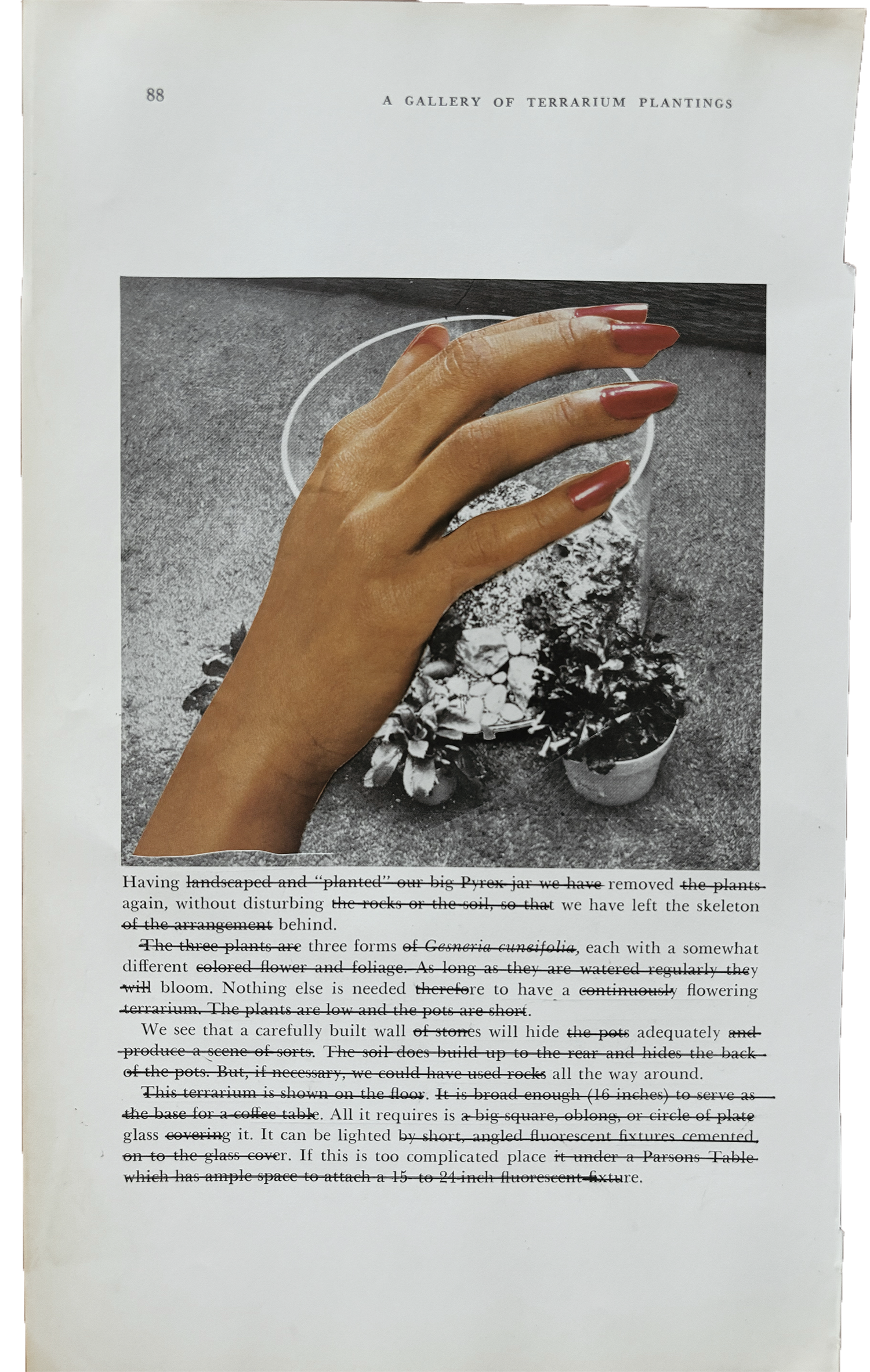 these things i see vi.png