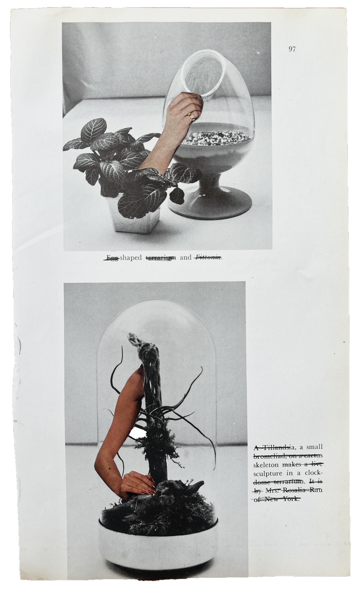 these things i see vi.png