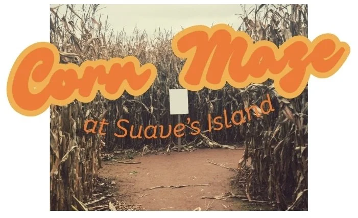 Student Ministry Corn Maze Event