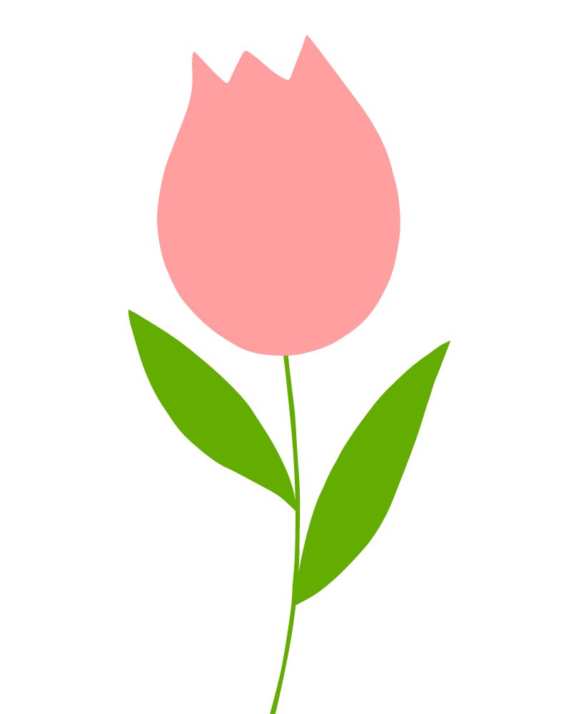 TULIPS_FRONT_WEB.jpg
