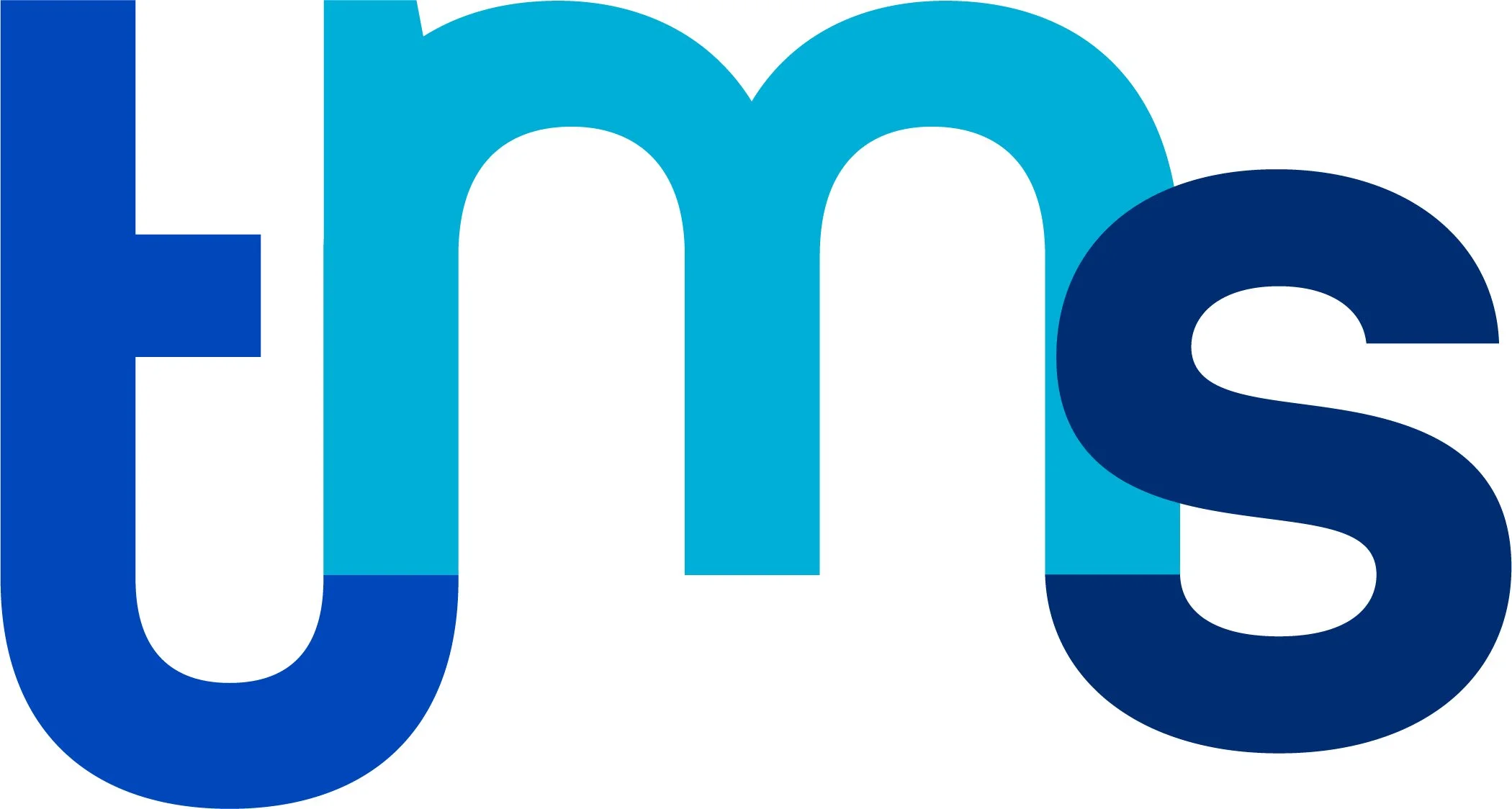 Close-up of the word 'Fms' in large, bold, blue and light blue letters.