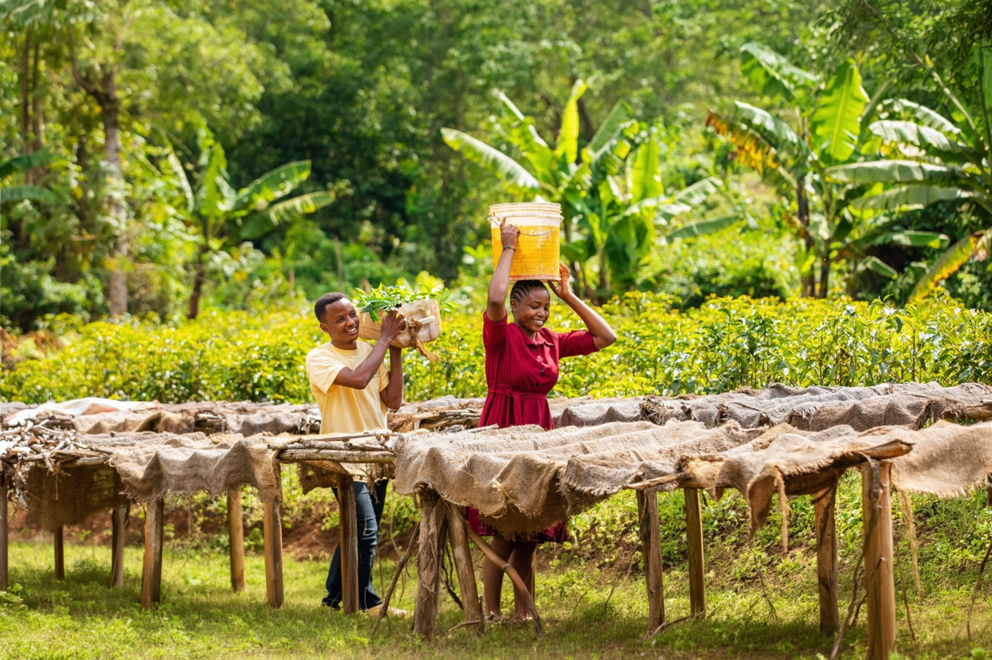 tanzania peaberry.jpg