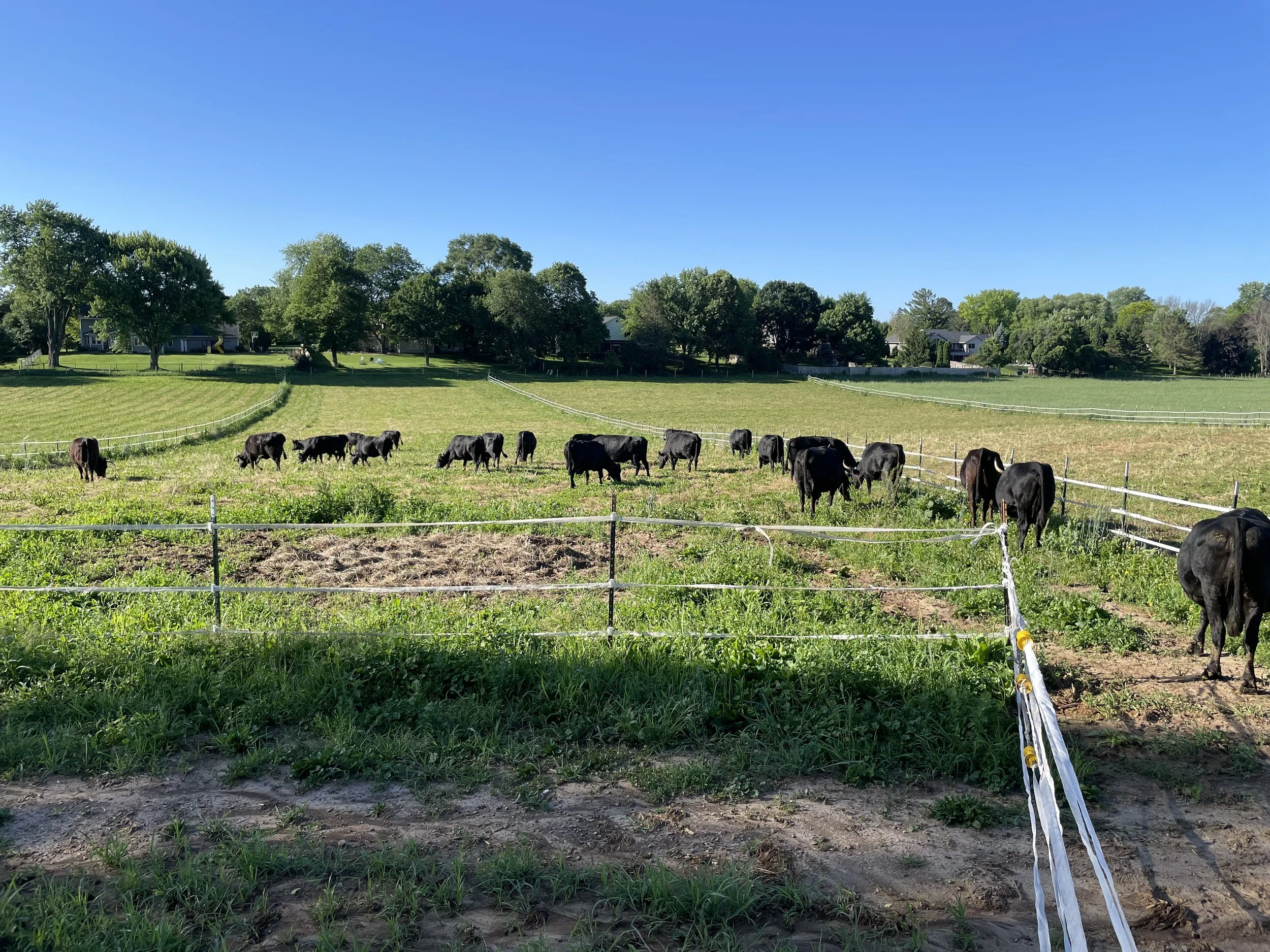 Grace Acres Farm Premium Farm Food Products DeForest, WI