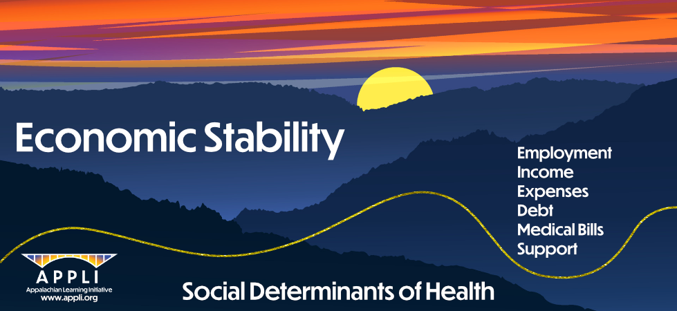 SDOH - Economic Stability (110422).png