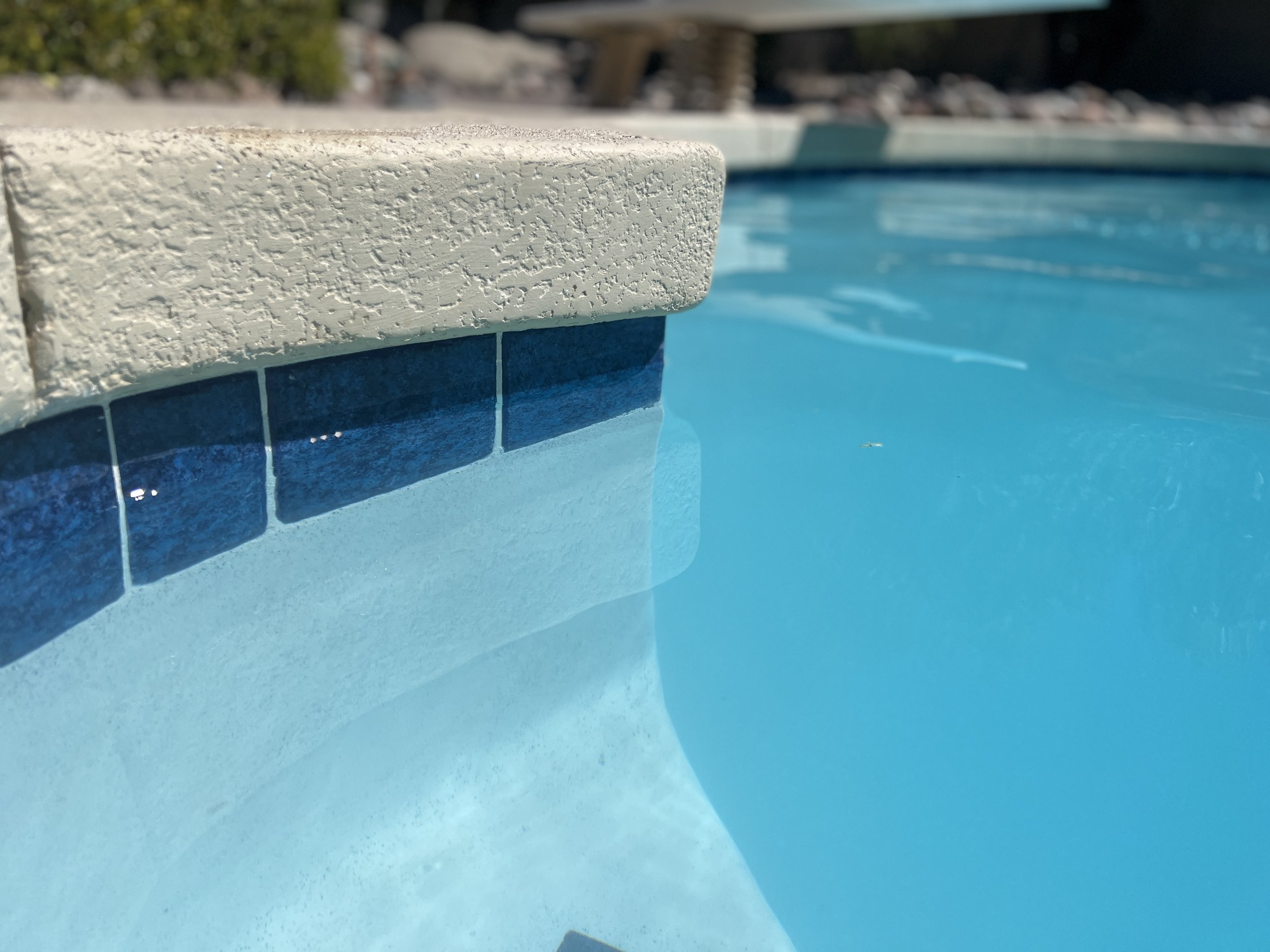 Copy of IMG_1083.JPG