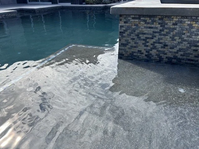 IMG_2436 Medium.jpeg