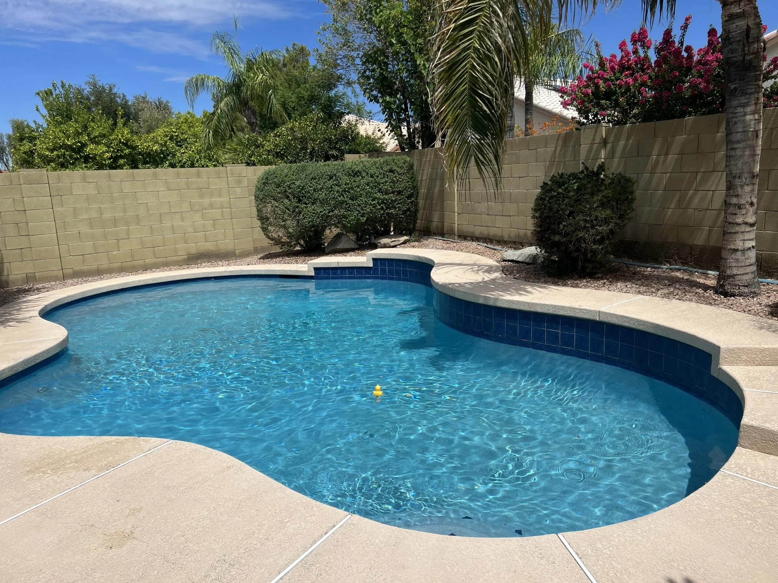 Kerry Ln. pool project