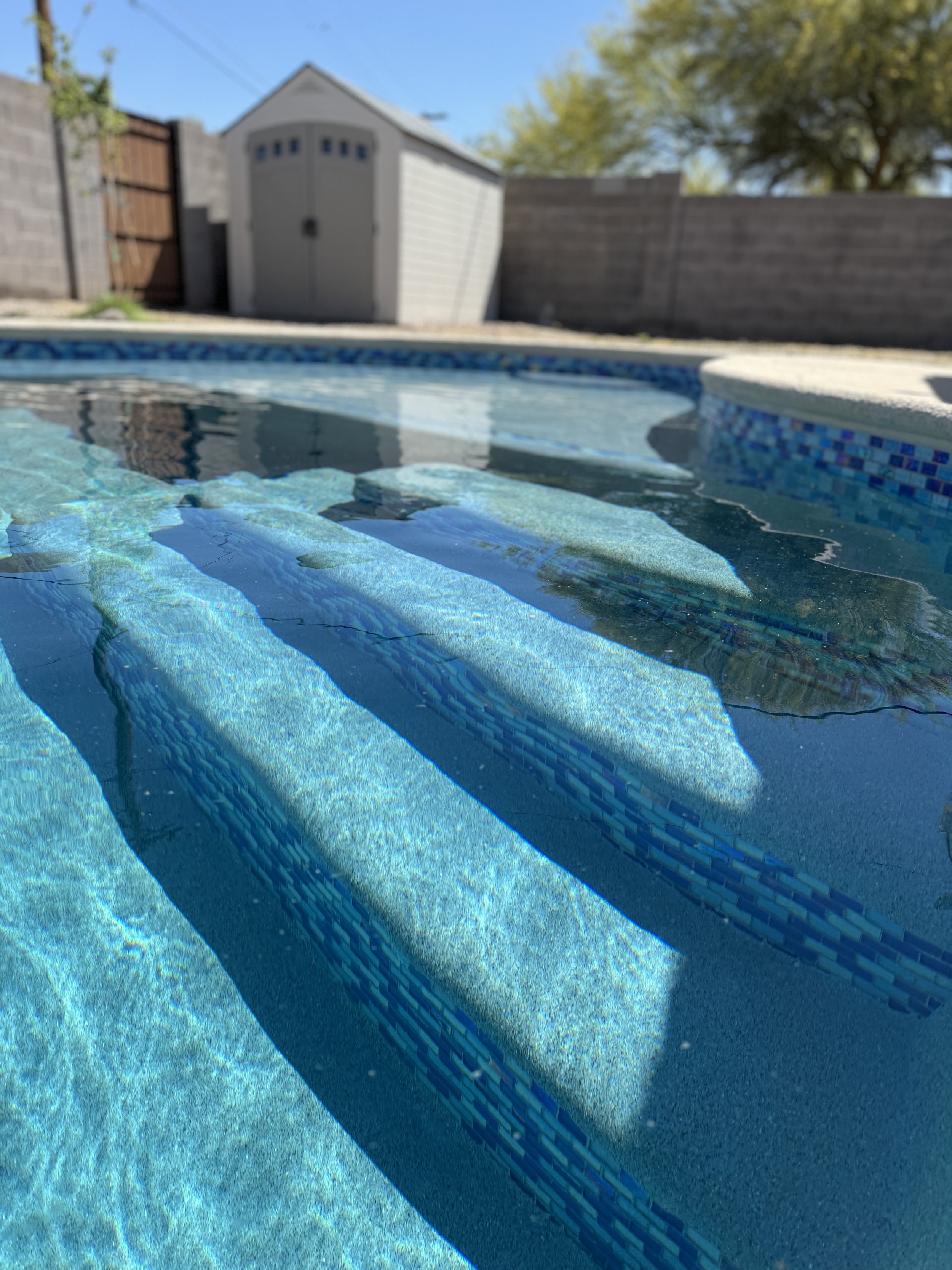 Orchid Ln. pool project