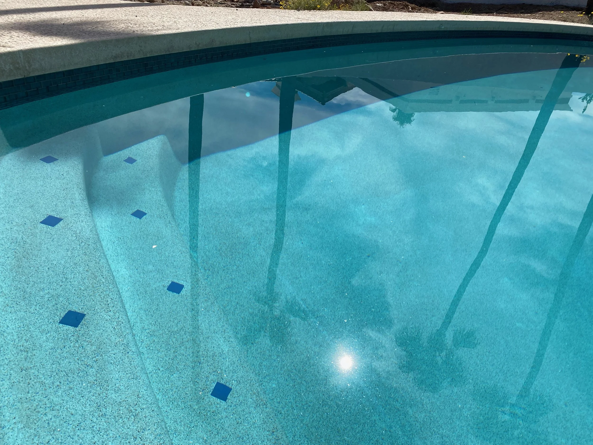 Copy of IMG_6879.JPEG