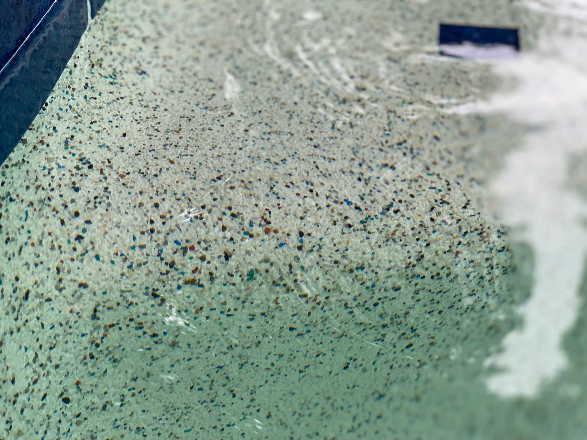 Copy of IMG_8320.JPEG