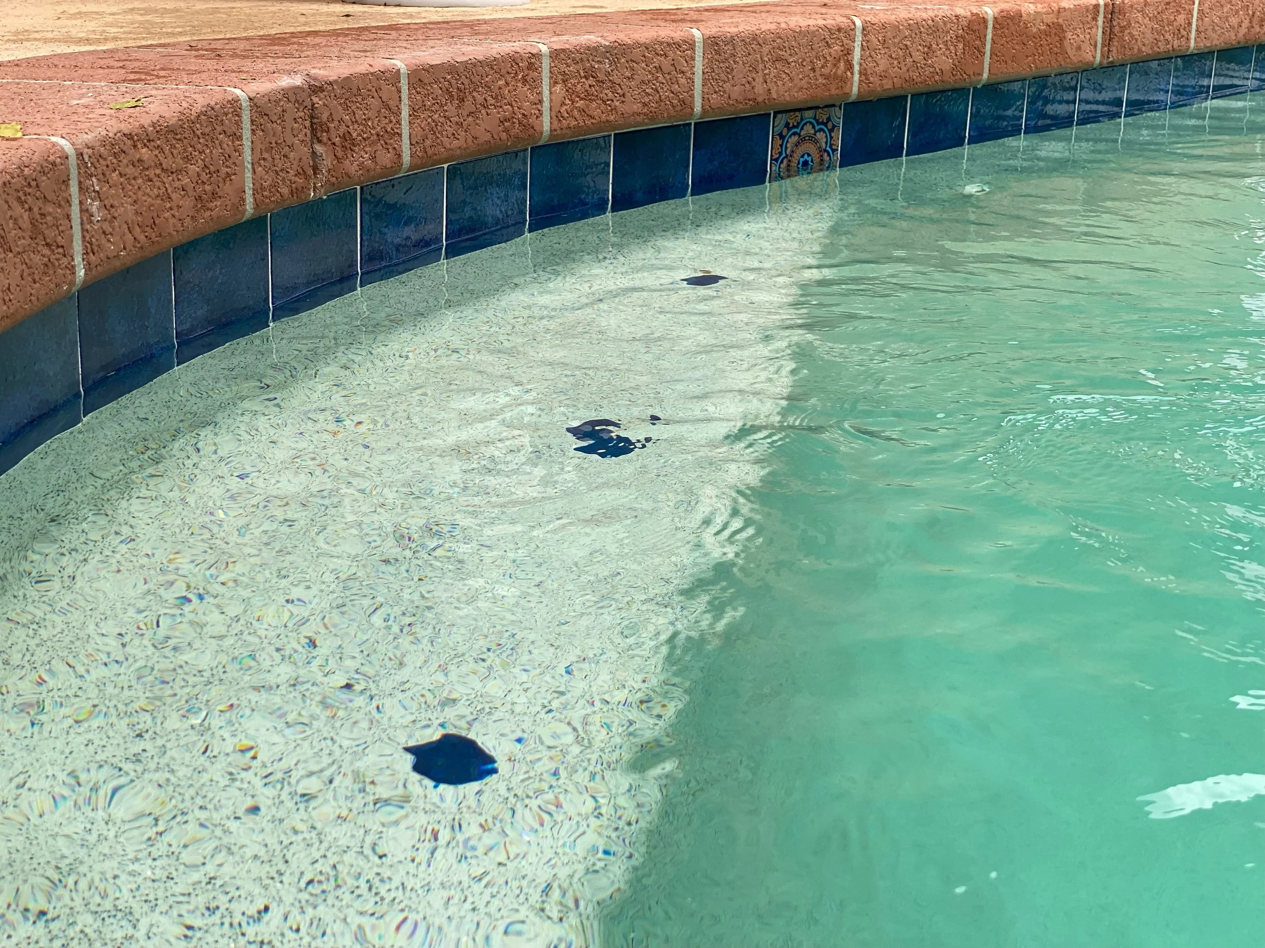 Copy of IMG_8328.JPEG