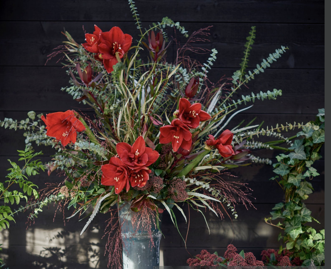 Screen Shot 2025-12-18 at 2.14.09 PM.png