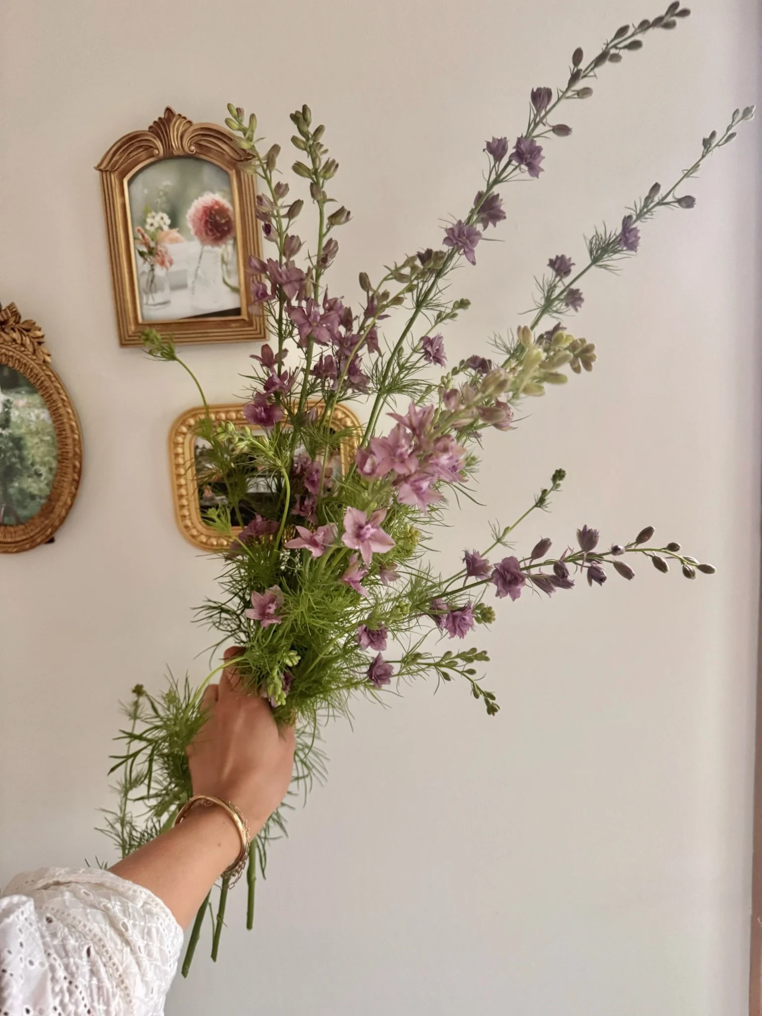 Our Four Favorite Flower Varieties to Direct Sow in March