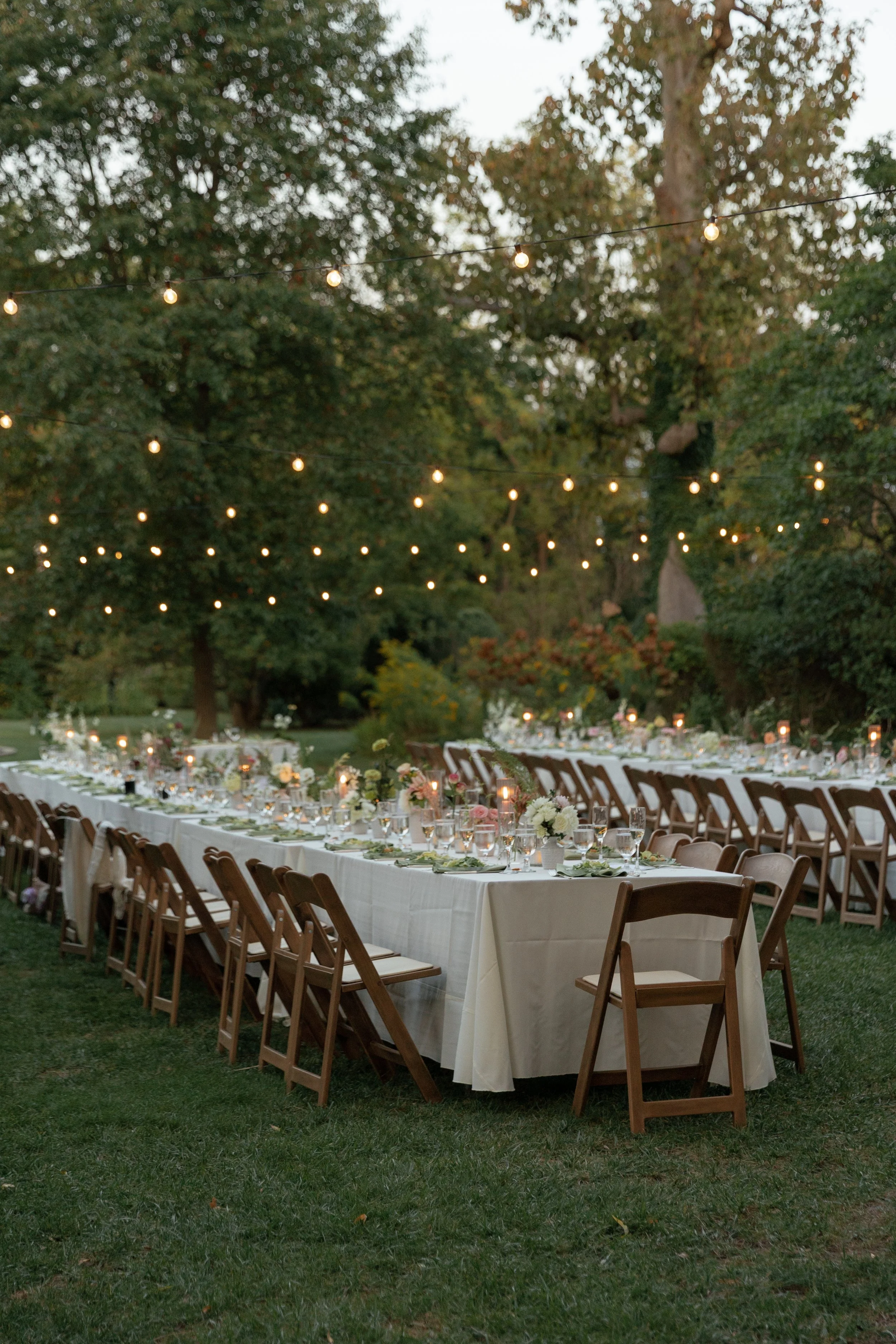 Photography by Bobbi Phelps