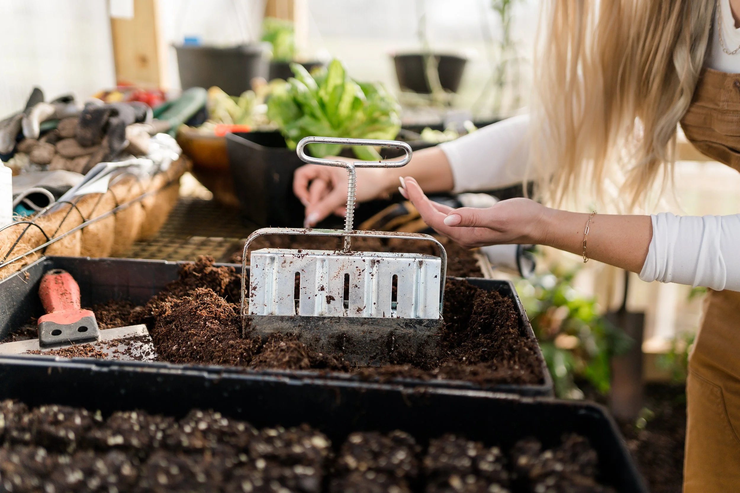 Seed Starting Drop-In Workshop - March 25th (Evening)