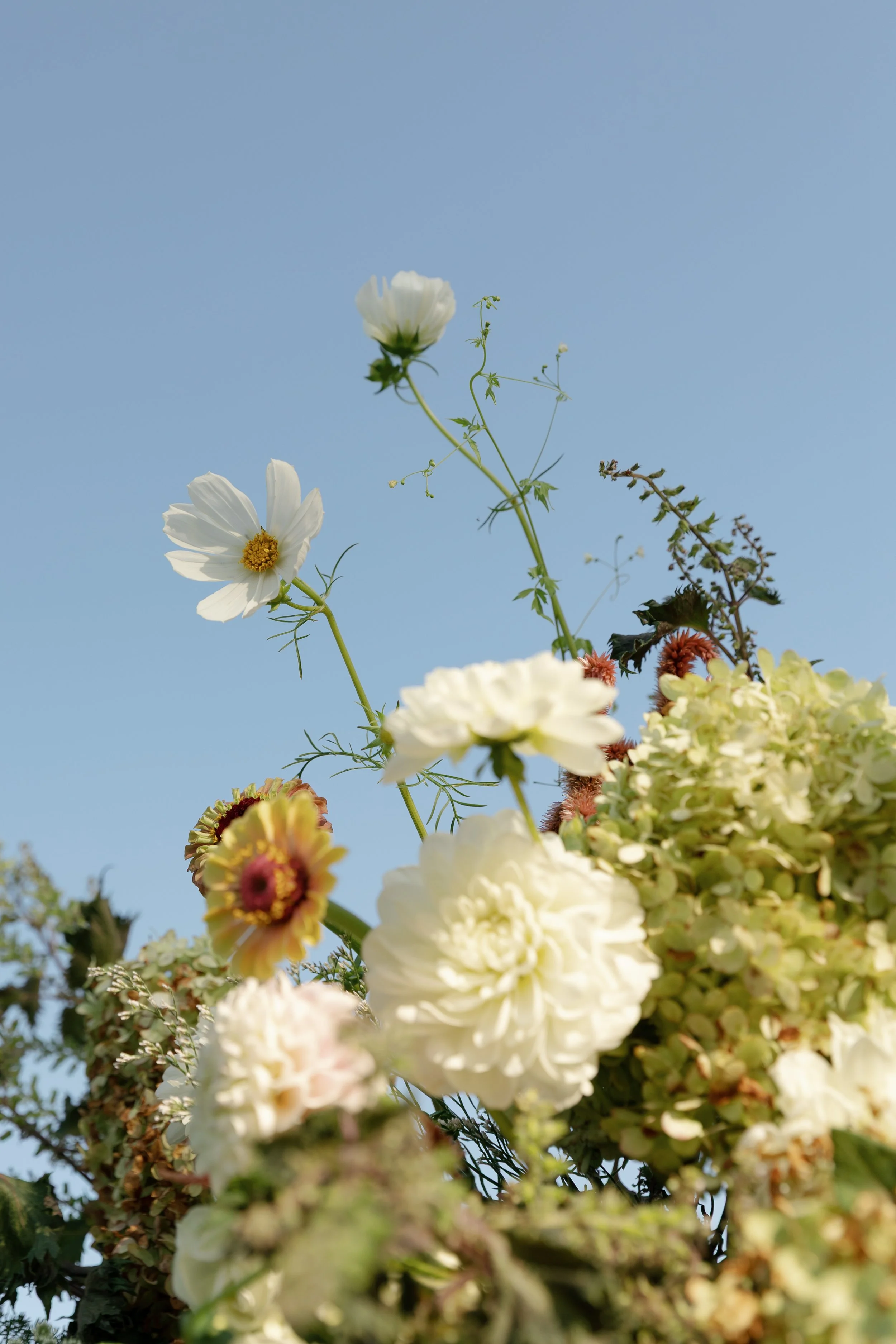 Photography by Bobbi Phelps