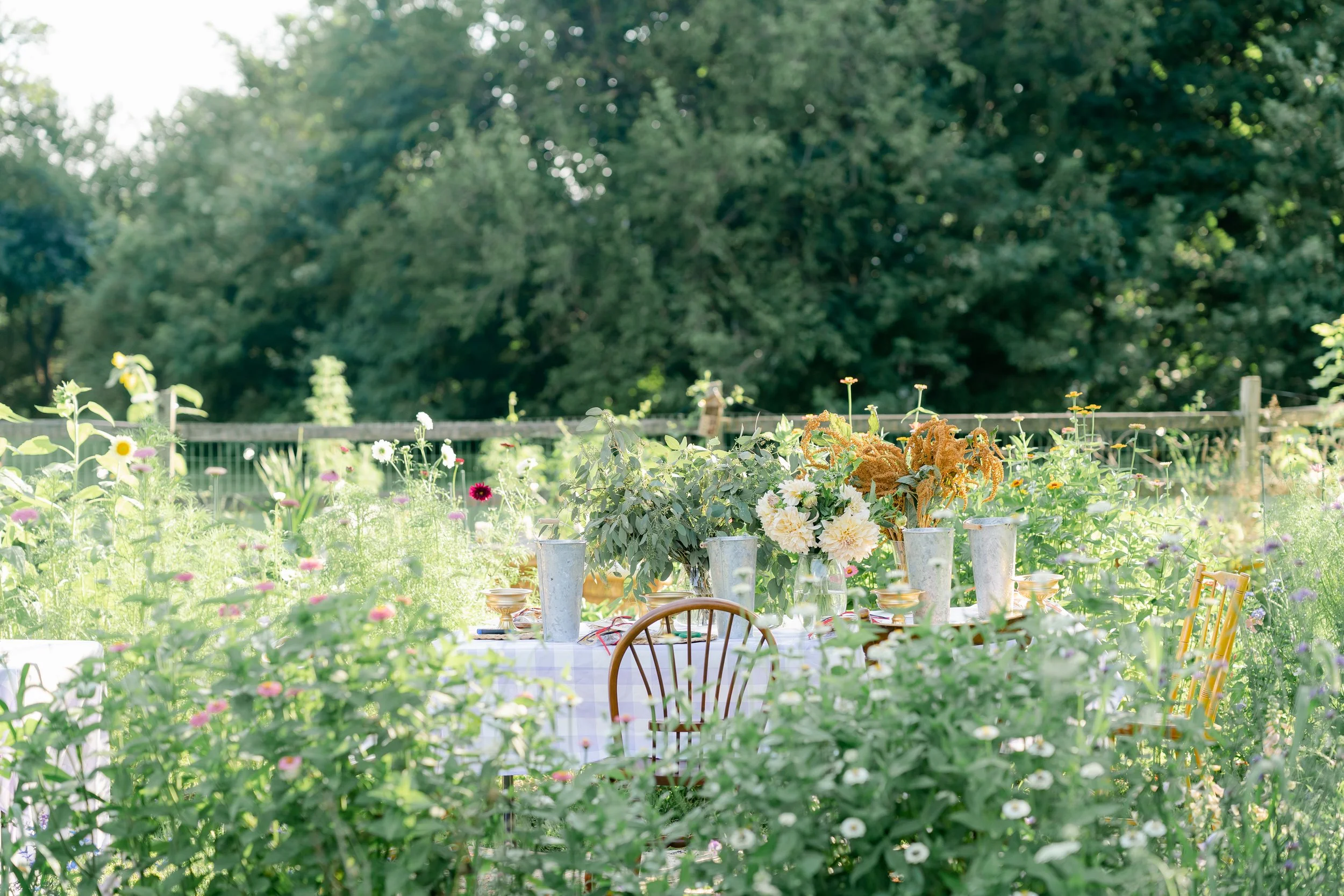 Starting a Cut Flower Garden (Gardening Class) - Feb 5th at 10am