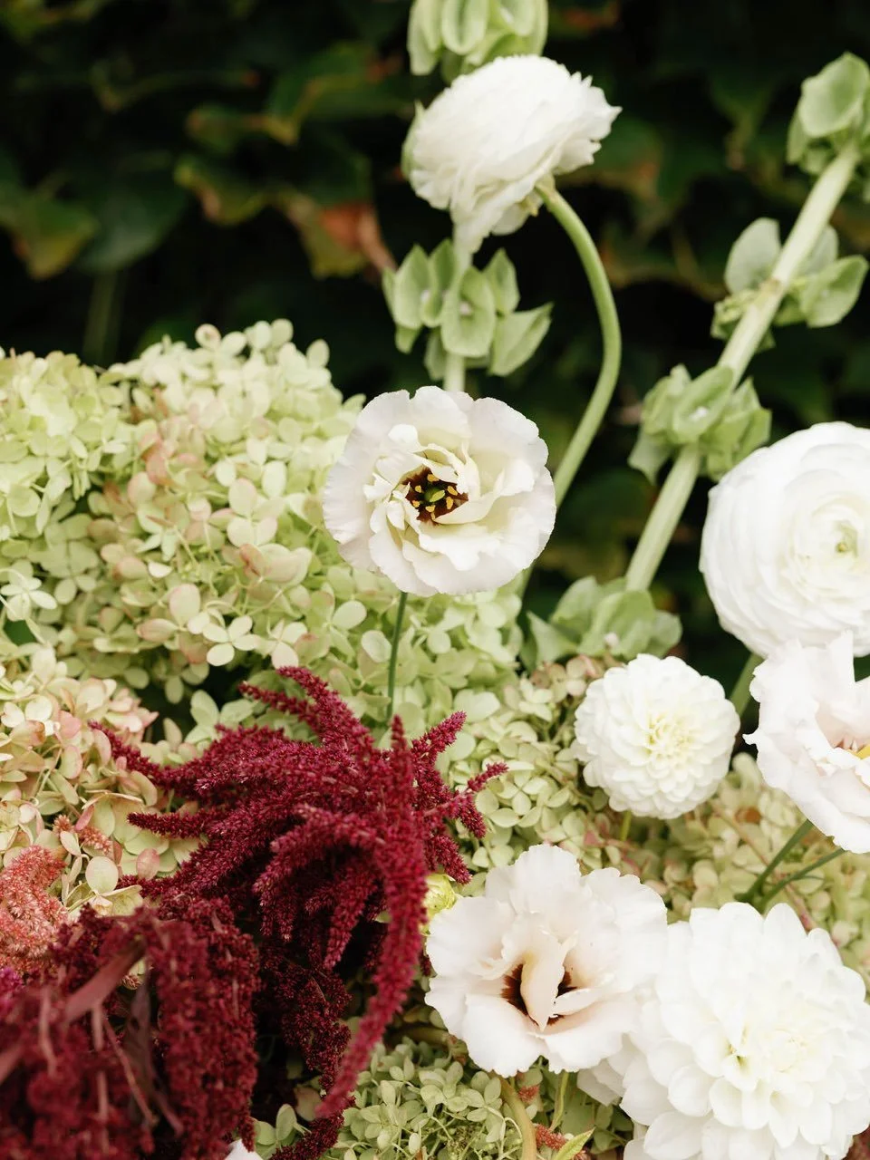 Photography by Megan Stone