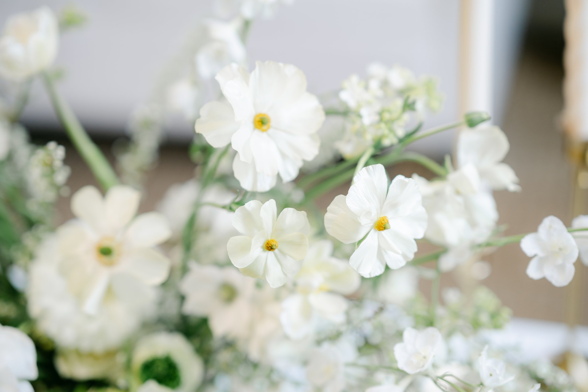 WaverlyFlowerCo-April-46.jpg